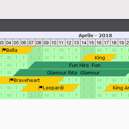 Planner Management